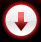 youtube flv downloader